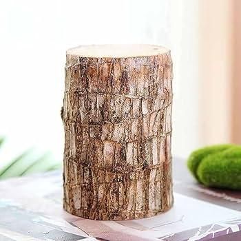 Brazilian Lucky Wood, Mini Home Plant Decor